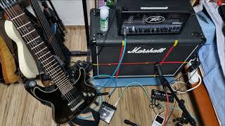 Carcass quotHeartworkquot  Guitar Tone Attempt with Peavey 6505MH [upl. by Arihas]