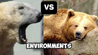 Polar Bear VS Kodiak Bear Who Would Win [upl. by Far]