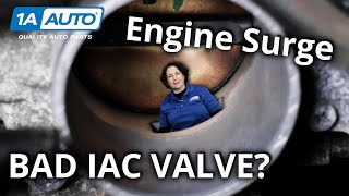 Car Engine Revving Up and Down How to Diagnose Engine Surge [upl. by Hound]