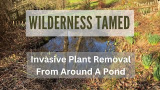 Invasive Plant Removal How to get rid of weeds [upl. by Ylimme684]