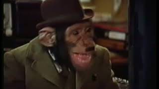 PG Tips Chimps Adverts Full collection [upl. by Aicilyhp]