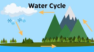 Water Cycle Diagram A Demonstration for Each Step of the Water Cycle [upl. by Adnolahs144]