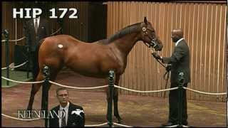 Havre de Grace selling in the Keeneland September 2008 Sale [upl. by Silletram]