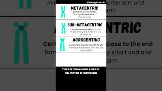 Types of Chromosomes [upl. by Tirza959]