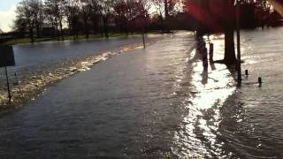 Hoogwater Met evacuatie vrachtwagen Borgharen in [upl. by Llerrehc58]