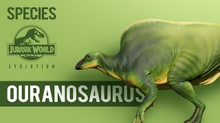 Ouranosaurus  SPECIES PROFILE  Jurassic World Evolution [upl. by Ahsyle668]