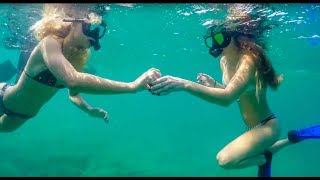 Snorkeling with Turtles off Deerfield Beach Florida [upl. by Ellennej]