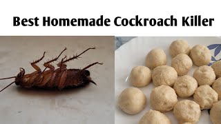 How To Kill Cockroaches Using Boric Powder  Safe and Effective Way to Kill Cockroaches  Works 100 [upl. by Copland]