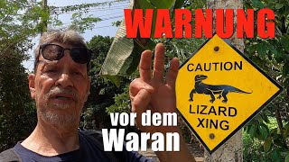 WARNUNG vor der ECHSE  etwa dem Waran  auf Koh Samui 🇹🇭 2023 [upl. by Lusty702]