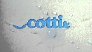 Scotties TV Commercial 1980sTV Commercial [upl. by Wolgast]