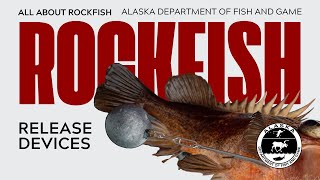 Rockfish Release Devices [upl. by Berne]