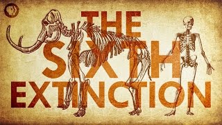 Are We Living In the Sixth Extinction [upl. by Ivonne99]