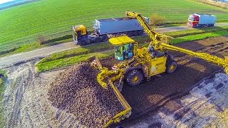 ROPA EURO MAUS 4 loading sugar beet  Zückerrüben überladen [upl. by Wales851]