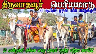 1பெரியமாடு திருவாதவூர் பந்தயம் 27032024 [upl. by Kirbee]