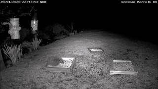 Hedgehog at Gresham Ground feeder [upl. by Deragon]