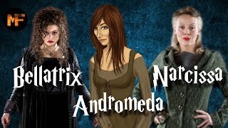 Black Sister Origins Explained Bellatrix Lestrange Narcissa Malfoy amp Andromeda Tonks [upl. by Leiso16]