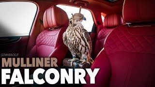 Bentley Bentayga Falconry by Mulliner  TOP 2017 Best Luxury SUV [upl. by Ymmas519]