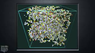 Growth of epoxy polymer network set HD quality [upl. by Currier388]