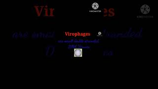 Virophages EnteMicrobialWorld viruses microbiology microbesshortsyoutube shots bacteria [upl. by Magda]