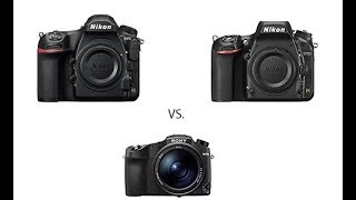 Nikon D850 vs Nikon D750 vs Sony RX10 IV in Wildlife Photography [upl. by Alil]