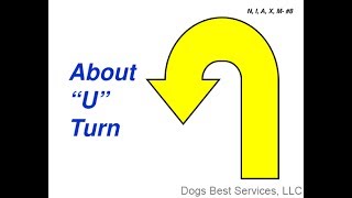 AKC Rally Novice Sign 8  About quotUquot Turn [upl. by Martelli828]