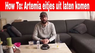 How To Artemia eitjes uit laten komen [upl. by Vinaya]