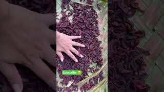 Dried pot tamarind🍅😊Goraka food fishcurry fishambulthiyal shortvideo cooking [upl. by Melquist]