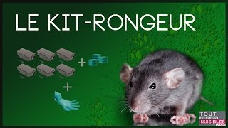 Comment tuer les rats et les rongeurs des champs [upl. by Ennad28]