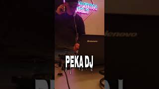 MEGA SANTAFESINO PEKA DJ [upl. by Vonnie]