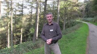 Cwmcarn Forest Drive  September 2014 Full version [upl. by Hujsak639]