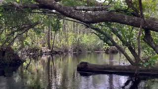 Suwannee River Trip Part 1 [upl. by Ellednek]