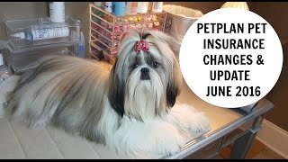 PETPLAN Pet Insurance update 2016 [upl. by Hyacinthia]