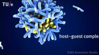 Dilution induced selfassembly of a dendrimer hostguest system [upl. by Zug981]