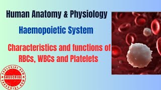 Characteristics amp Functions of RBCs WBCs amp Platelets I Haemopoietic System I HAP pharmacy [upl. by Babita]