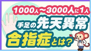 【意外と多い】手足の先天性異常の合指症を医師監修で詳しく解説 [upl. by Brice49]