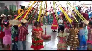 Apresentação Sambalelê  Educação infantil [upl. by Eustache]