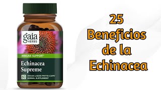 Echinacea 25 Beneficios para la Salud [upl. by Dnalwor493]