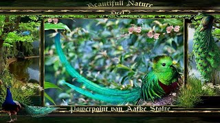 Beautifull Nature Music Enigma by Aafke Stolze [upl. by Hutchins366]