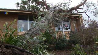 Mount Warrigal Storm Damage [upl. by Ocramed]