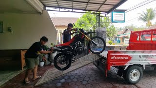 new honda crf 2024 [upl. by Wordoow]