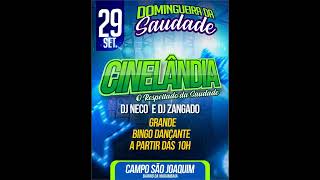 CINELANDIA MARCANTES DJ NECO SAUDADE [upl. by Ahtoelc]