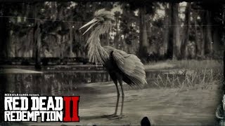 RED DEAD REDEMPTION 2  Snowy Egret amp Reddish Egret Location SnowyReddish Egret Plume Location [upl. by Refotsirhc536]