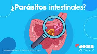 Destruye y expulsa todo tipo de parásitos intestinales [upl. by Amikan]