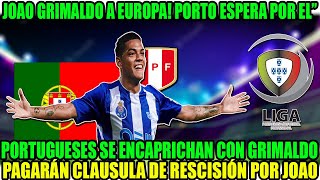 GRIMALDO A EUROPA PORTO INTERESADO EN GRIMALDO PORTUGUESES LO QUIEREN [upl. by Trahurn]