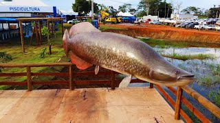 10ª RONDÔNIA RURAL SHOW INTERNACIONAL [upl. by Barron]