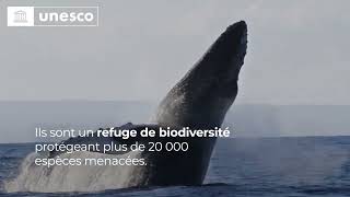 Le patrimoine mondial  Une contribution unique à la biodiversité [upl. by Hamal976]