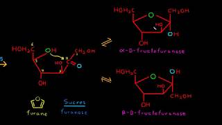 Cyclisation des monosaccharides sucres [upl. by Lisa]