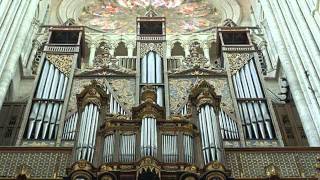 Pipe Organs  Magnificent Instruments [upl. by Woolson839]