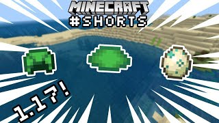 How to Get Turtle Scutes in Minecraft 119 shorts [upl. by Hsakiv]