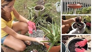 Cottage Living Planting An Herb Garden Container Gardening [upl. by Ysle]